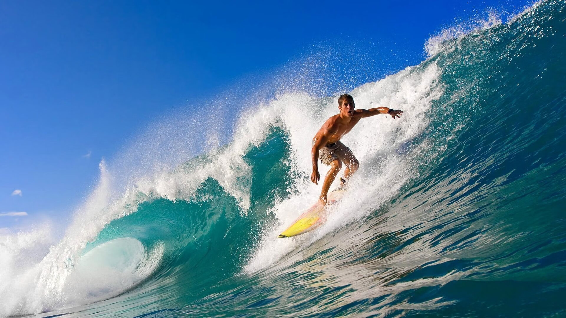 欧冠淘汰赛焦点战，北京队淘汰灰熊，当东方城墙筑在西方球场